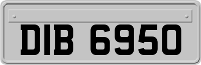 DIB6950