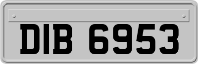 DIB6953