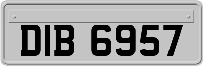 DIB6957
