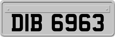 DIB6963