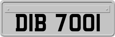 DIB7001