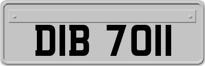 DIB7011
