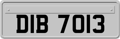 DIB7013