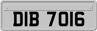 DIB7016