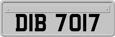 DIB7017