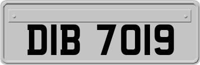 DIB7019