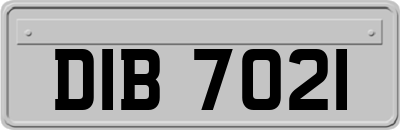 DIB7021