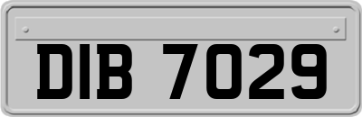 DIB7029