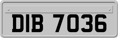 DIB7036