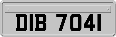 DIB7041