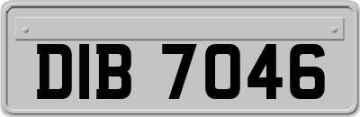DIB7046