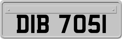 DIB7051