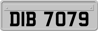 DIB7079