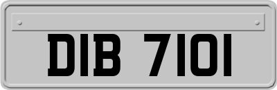 DIB7101