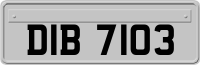 DIB7103