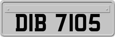 DIB7105
