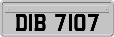 DIB7107