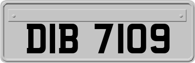 DIB7109
