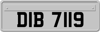 DIB7119