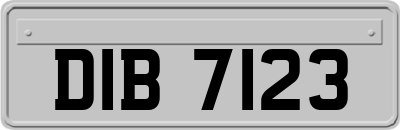 DIB7123