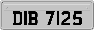 DIB7125