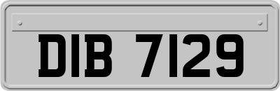DIB7129