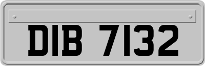 DIB7132