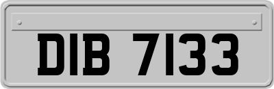 DIB7133