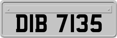 DIB7135
