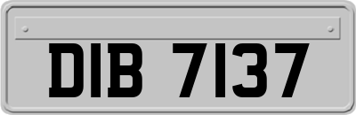 DIB7137