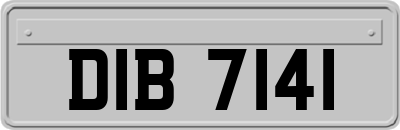 DIB7141