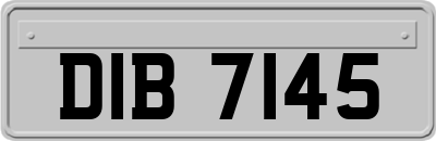 DIB7145