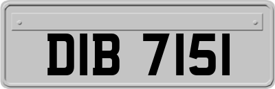 DIB7151