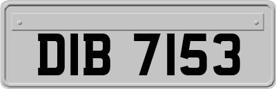 DIB7153