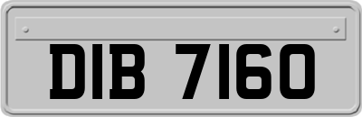 DIB7160