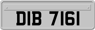 DIB7161