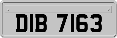 DIB7163
