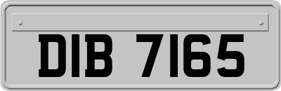 DIB7165