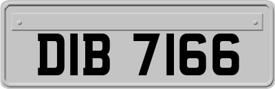 DIB7166