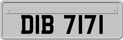 DIB7171