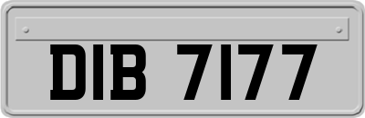 DIB7177