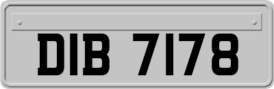 DIB7178