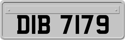 DIB7179