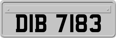 DIB7183