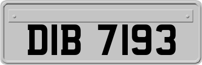 DIB7193