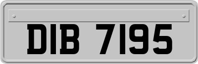 DIB7195