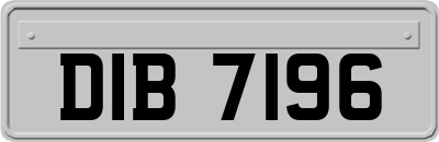 DIB7196