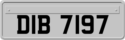 DIB7197