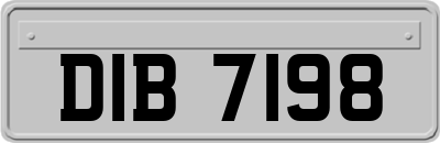 DIB7198