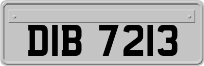 DIB7213